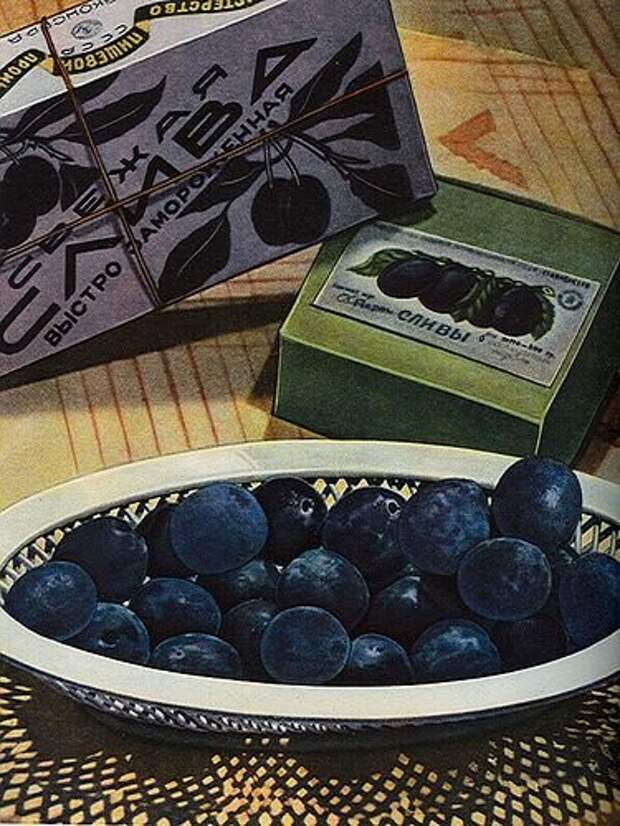 sssr-0023