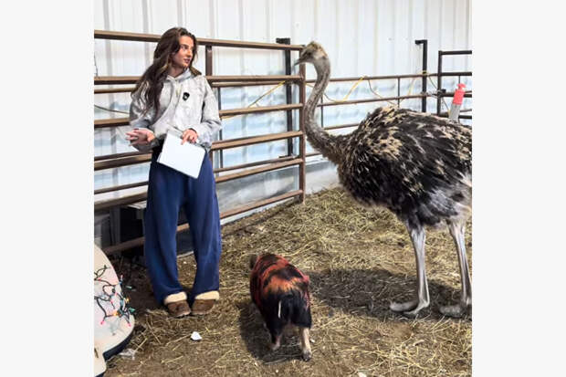 Знаменитого страуса не стало из-за неожиданной травмы