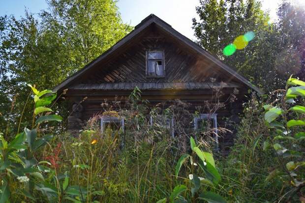 Один из многих домов вымерших деревень: Малый Парюг, Нижнее Лядово, Среднее Лядово 