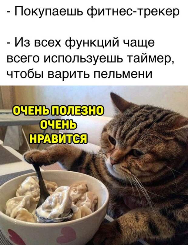 Смешные картинки 17 марта 2021 года