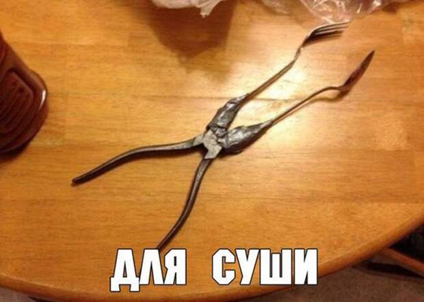 Прикольные картинки с надписью для веселья (11 фото) Прикольные картинки с надписью для веселья (11 фото)