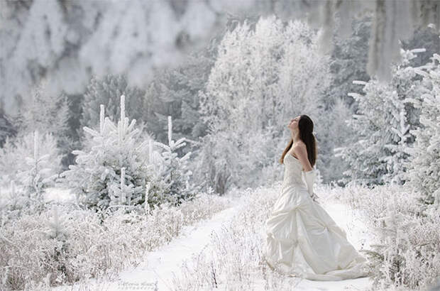 wedding.jpg (73.6 Kb)