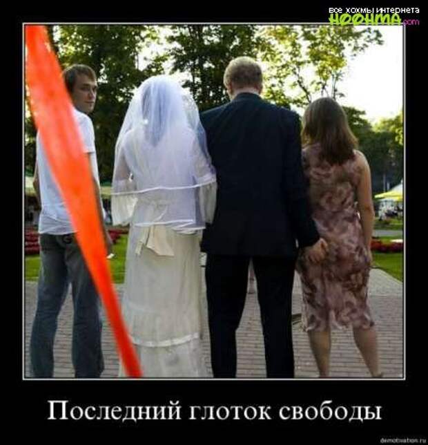 Подборка отличных демотиваторов Подборка отличных демотиваторов