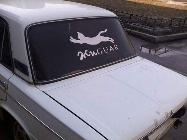 Прикольные картинки Прикольные картинки