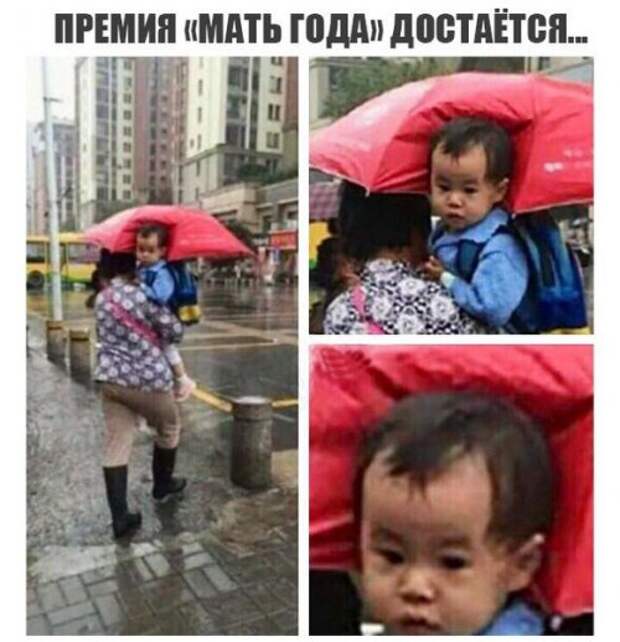 Свежая порция фотомемов (27 шт)