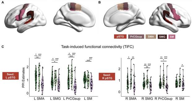 Занятия музыкой замедлили возрастные изменения мозговой активности