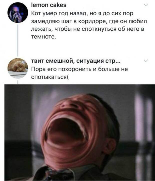 1576888297_kartinki-21.jpg