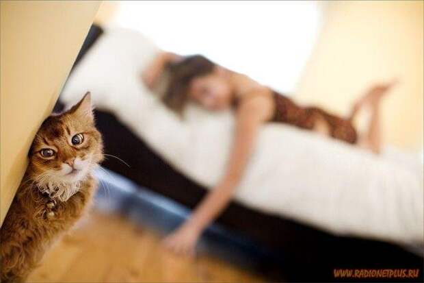 Улыбнись! :) (16поводов)