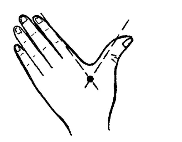 pic12 (400x312, 39Kb)
