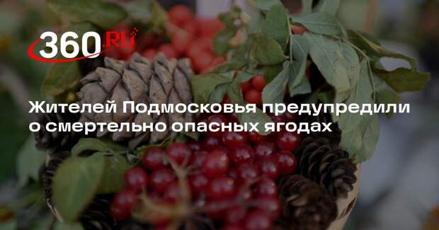 Ноздрина: в Подмосковье растут некоторые виды ягод, которые могут быть опасны