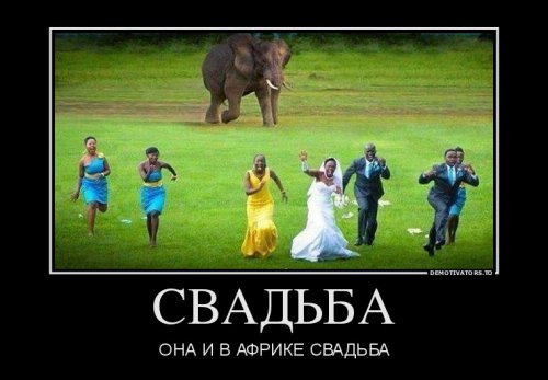 Прикольные демотиваторы (27 шт)