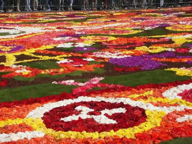 flower carpet7 The Giant Flower Carpet of Brussels 