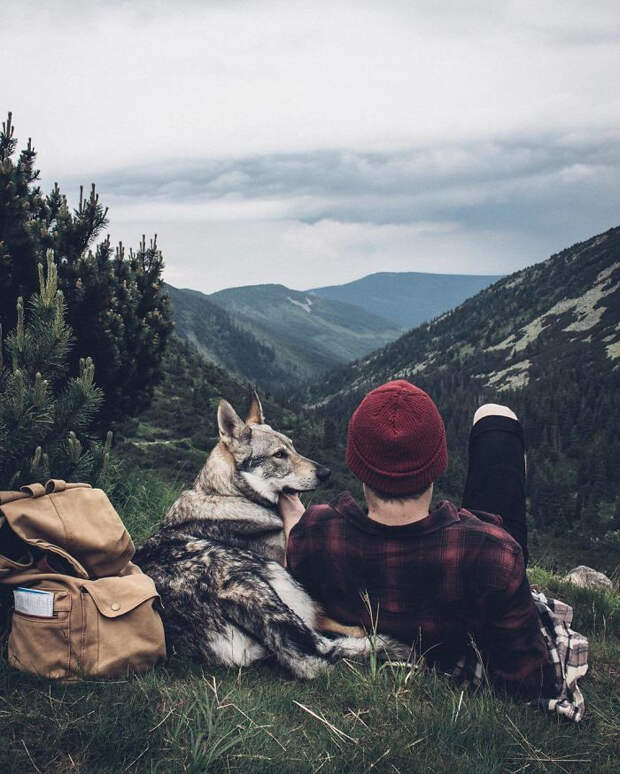 Парень вывел хэштег #FollowMeTo на новый уровень, используя для этого свою собаку Парень вывел хэштег #FollowMeTo на новый уровень, Хонза Регачек, Honza Řeháček, собака по кличке Ситке
