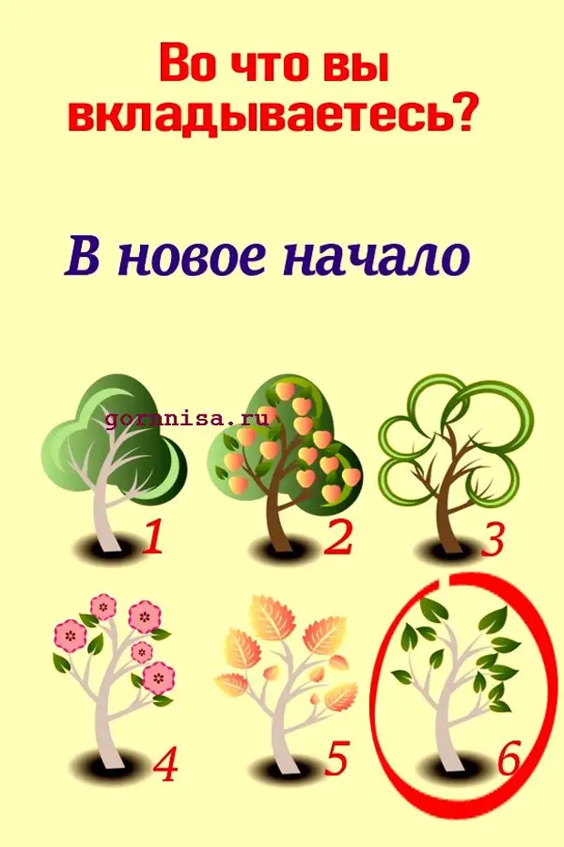 Выбери рисунок. Психологический тест с 6 деревьями. Тест выбери картинку. Тест на психологическое здоровье. Характеристика человека по нарисованному дереву.