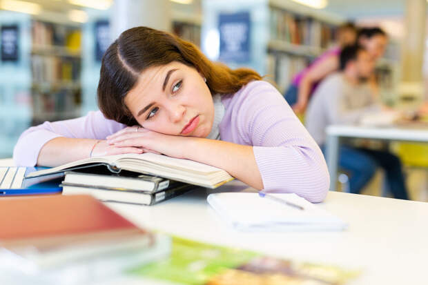 РАН подготовит единые школьные учебники по естественным наукам к 2027 году