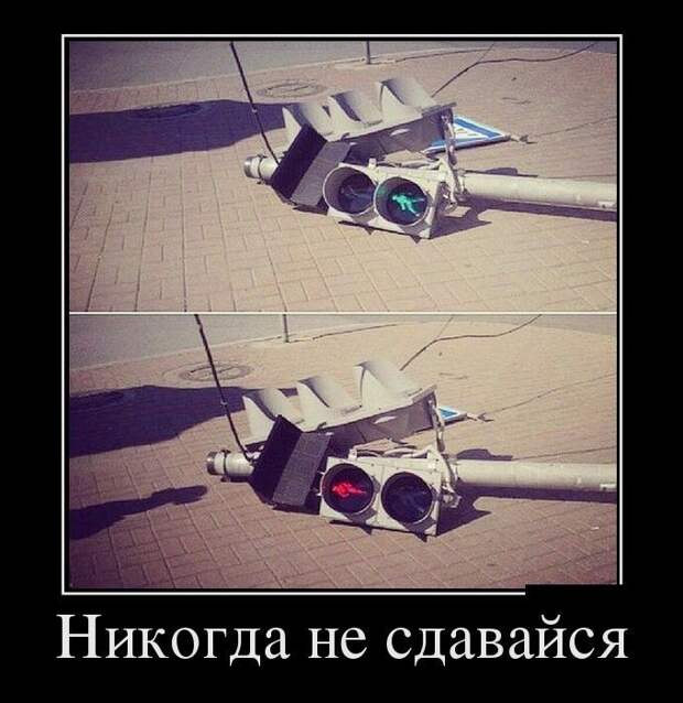 Сборник демотивационных приколов Сборник демотивационных приколов