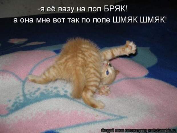 Пятничная котоматрица