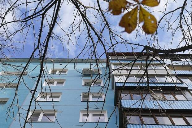 В Силино остро стоит проблема вандализма в подъездах домов В Силино остро стоит проблема вандализма в подъездах домов
