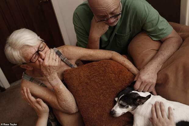 Фотография: Дай лапу на прощанье мне: слезы расставания над умирающими домашними любимцами №4 - BigPicture.ru
