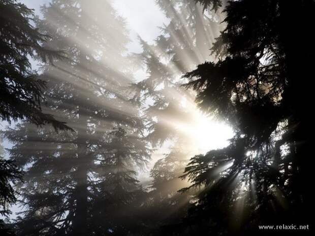 nature_054