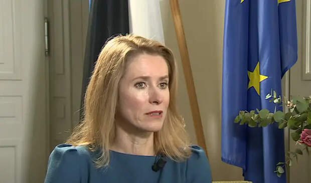 Спикер Госдумы: Каллас нужно отдать под трибунал ООН за слова о параде в Москве