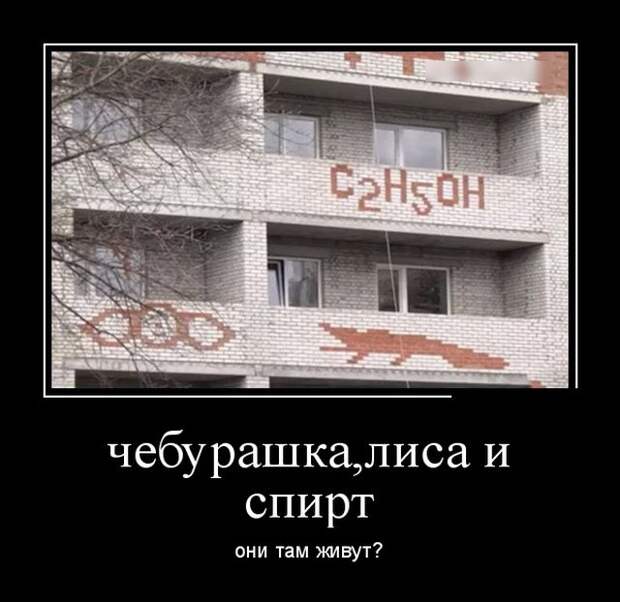 Черноватый юмор в подборочке демотиваторов