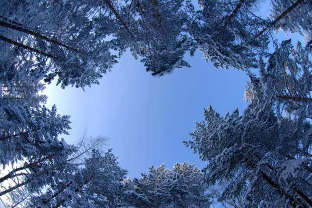 Экофакты 2011 года