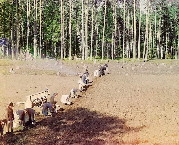 Россия 150 лет назад в цветных фотографиях