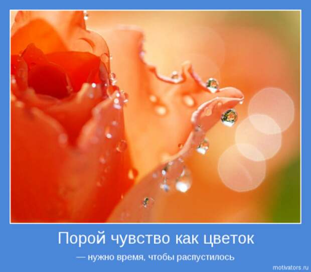 Мотиваторы основные со смыслом.