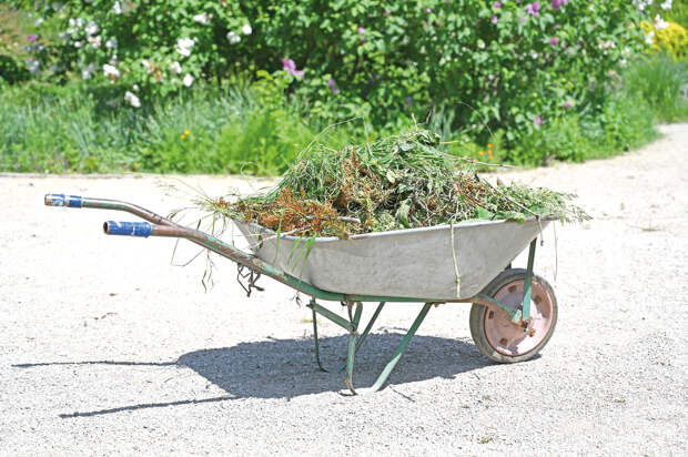 Пять неочевидных причин, по которым могут оштрафовать дачника