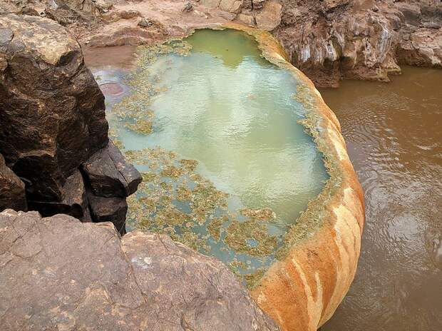 Ядовитый бассейн в Гранд Каньоне (8 фото)