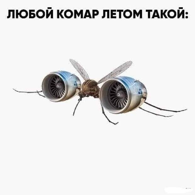 Комары Комары