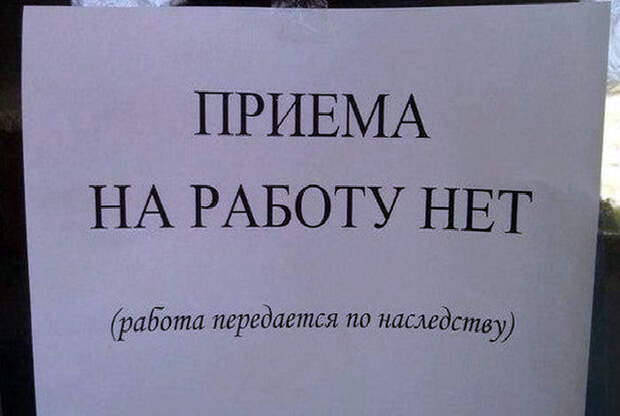 Где ты, работа моей мечты? подборка, прикол, собеседования, трудоустройство, юмор
