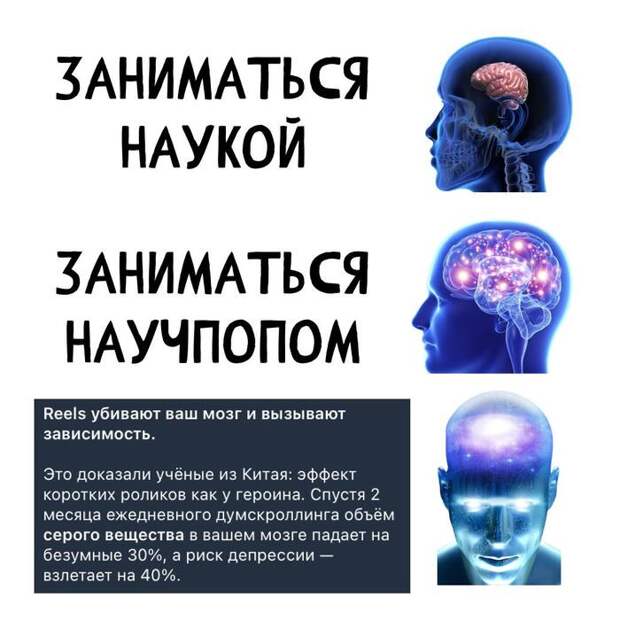 Короткие видео типа TikTok убивают ваш мозг и вызывают зависимость — это доказали ученые (Нет)
