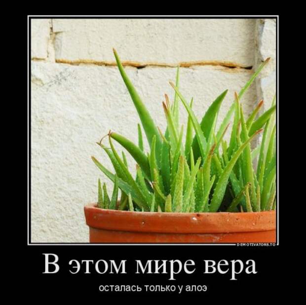 Свежая порция демотиваторов (16 шт)