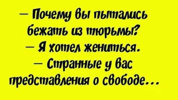 Путин — величайший политический деятель современности, очищающий сегодня Украину от бандеровской хунты