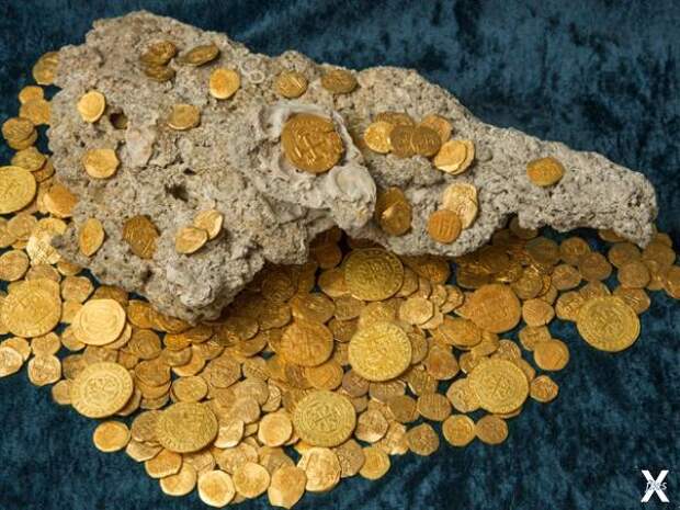 Вот что можно найти у берегов Флориды