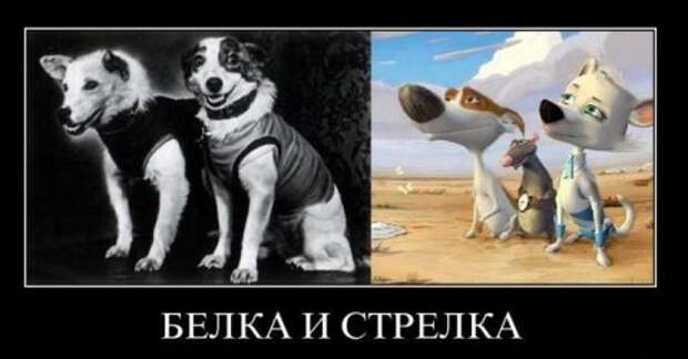 Прикольные жёсткие демотиваторы (40 фото)