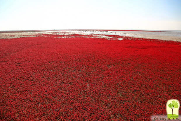 пляж в Китае фото