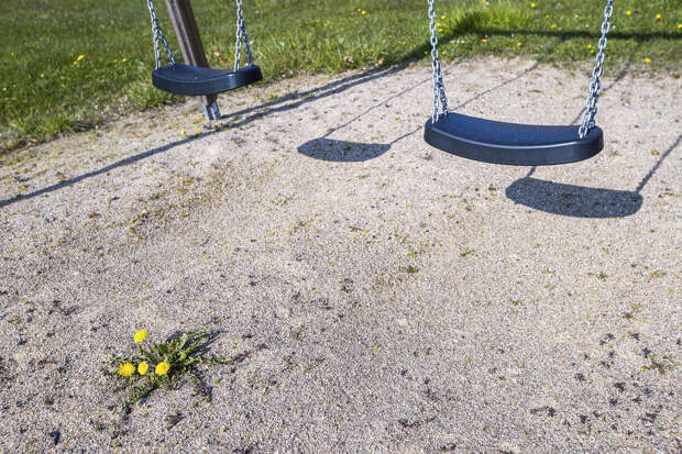 Неадекватный британец пытался похитить 6-летнюю девочку на глазах у ее родных