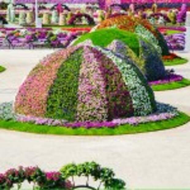 Dubai Miracle Garden