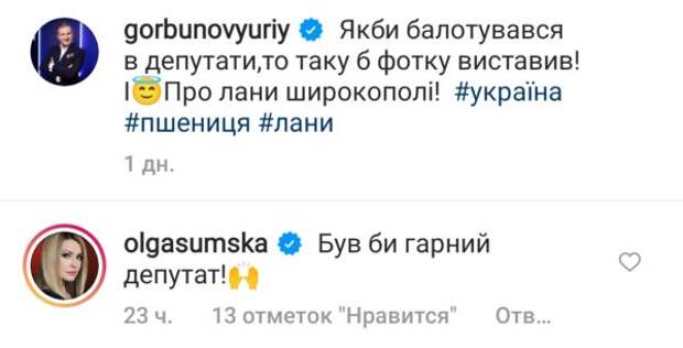 Ольга Сумская прокомментировала пост Горбунова