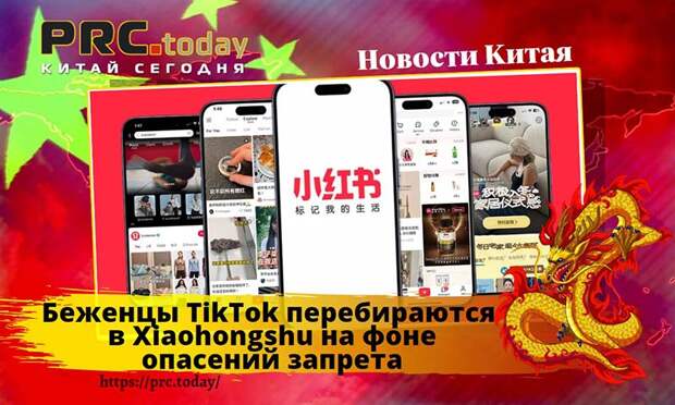 Беженцы TikTok