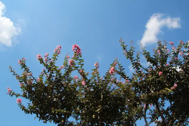 Турецкие дневники (сентябрь 2021 года). Вокруг Софии