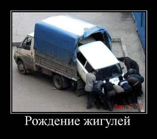 Демотиваторы, поприкольней из новых.