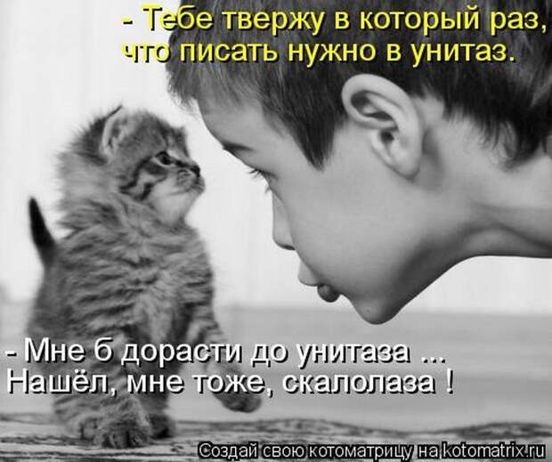 Лучшие котоматрицы недели Лучшие котоматрицы недели