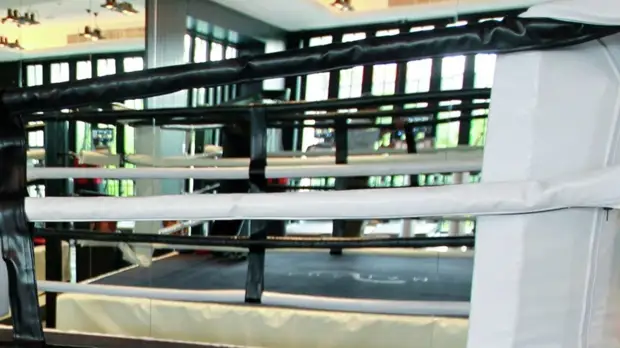 Российские бойцы завоевали семь золотых медалей на чемпионате Европы по ММА