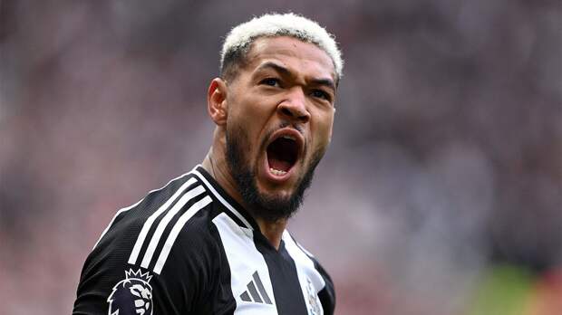 «Ньюкасл» не смог обыграть главного аутсайдера АПЛ