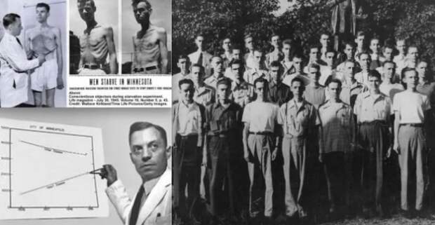 Самый опасный эксперимент в истории или почему ваша диета обречена на провал (с точки зрения биологии)