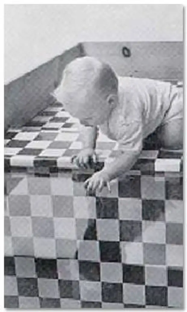 Джон уотсон и розали рейнер. Джон уотсон и розали рейнер. Джон уотсон и розали рейнер. Эксперимент с альбертом и крысой. Эксперименты с новорожденными.